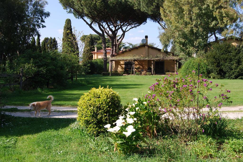 Casa Vacanze Vigna Di Valle Bracciano  Rum bild