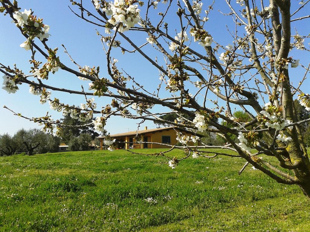 Casa Vacanze Vigna Di Valle Bracciano  Exteriör bild