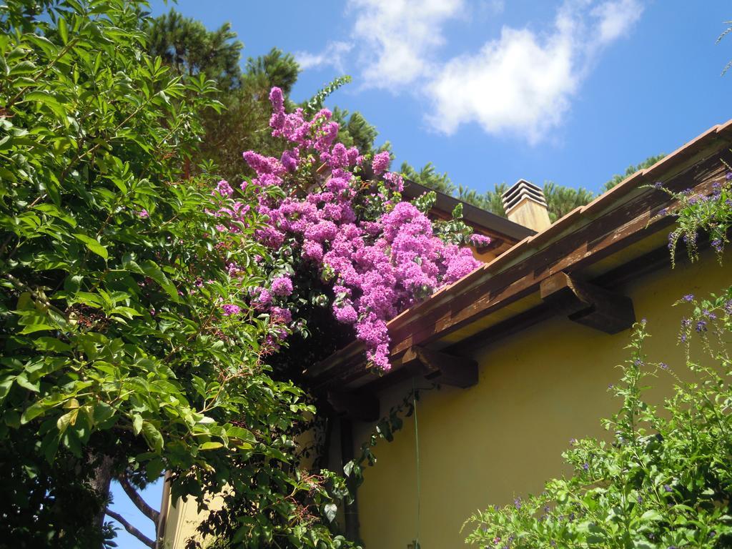 Casa Vacanze Vigna Di Valle Bracciano  Rum bild