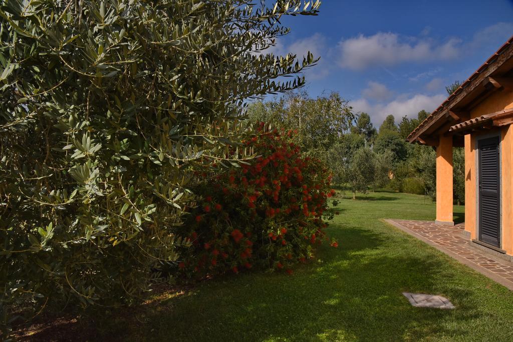 Casa Vacanze Vigna Di Valle Bracciano  Rum bild